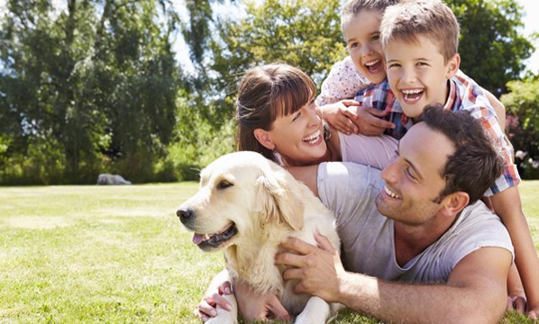 Veterinarians in Long Beach, Sunset Beach & La Habra, CA
